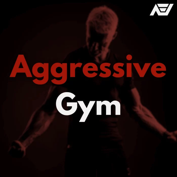 Aggressive gym_playlist_spotify_artisti_emergenti_italia_AEI